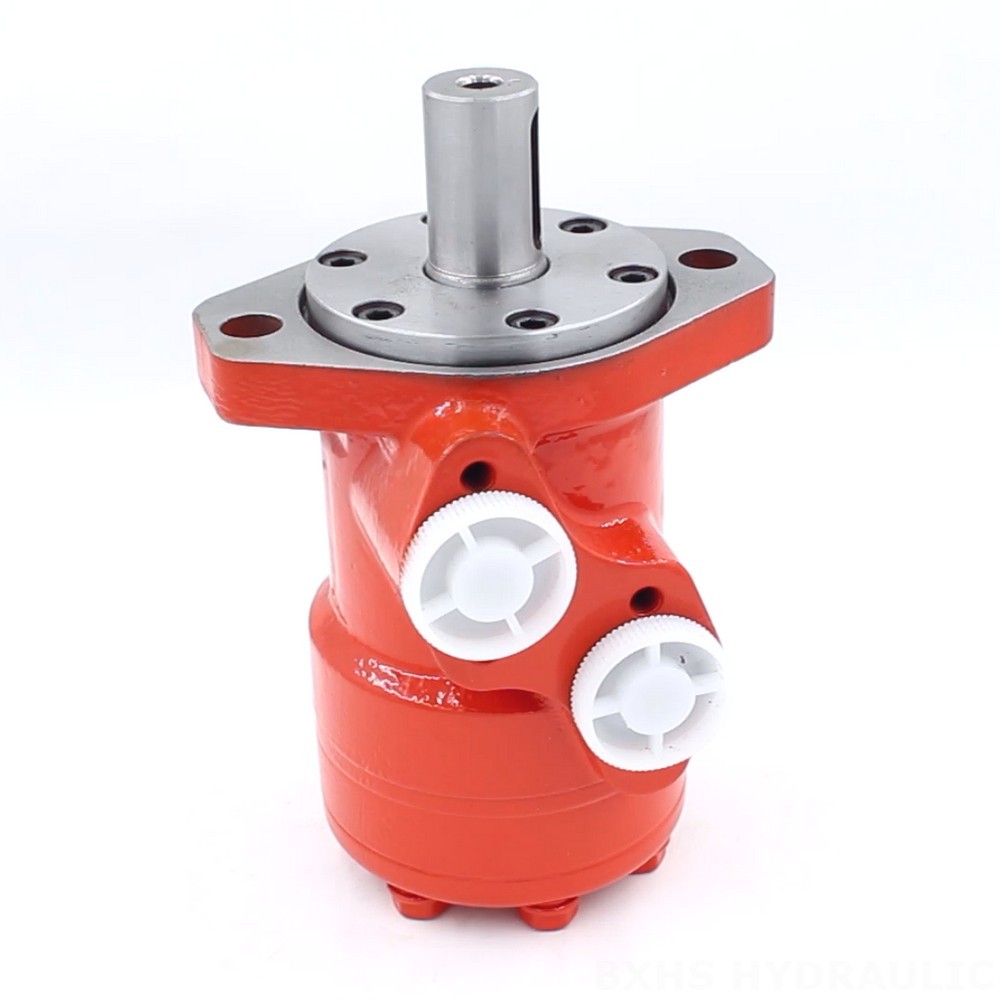 BMR_Cycloid Hydraulic Motor-3 80 cc/r 53 Lpm: Factory Wholesale image